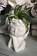 مزهرية كونكريت على شكل وجه