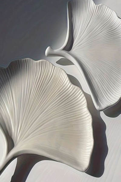 صينية مجوهرات بتصميم ورقة القيقب